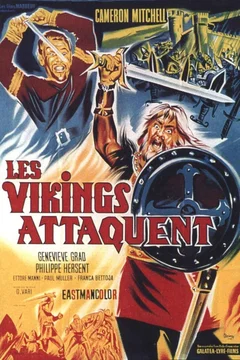 Affiche du film Les vikings attaquent