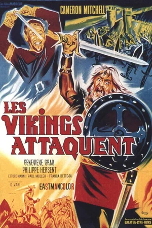 Affiche du film : Les vikings attaquent