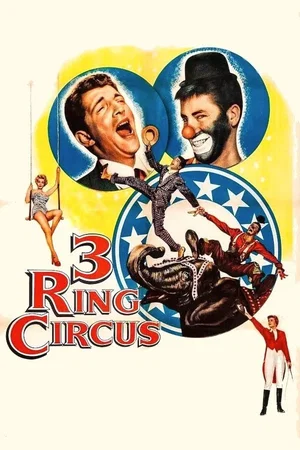 Affiche du film : Le clown est roi