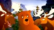 Photo 3 du film : Frère des ours