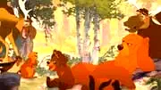 Photo 2 du film : Frère des ours