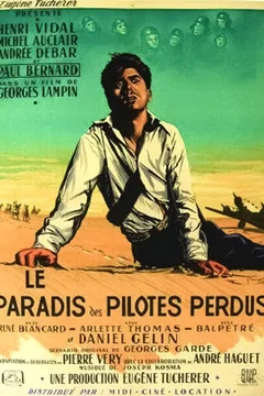 Affiche du film Le paradis des pilotes perdus