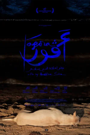 Affiche du film : Agora