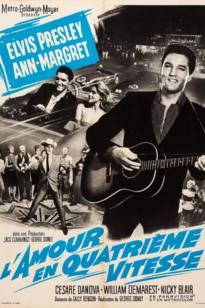 Affiche du film : L'amour en quatrieme vitesse