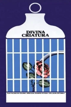 Affiche du film Divine créature