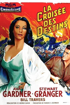 Affiche du film La Croisée des destins