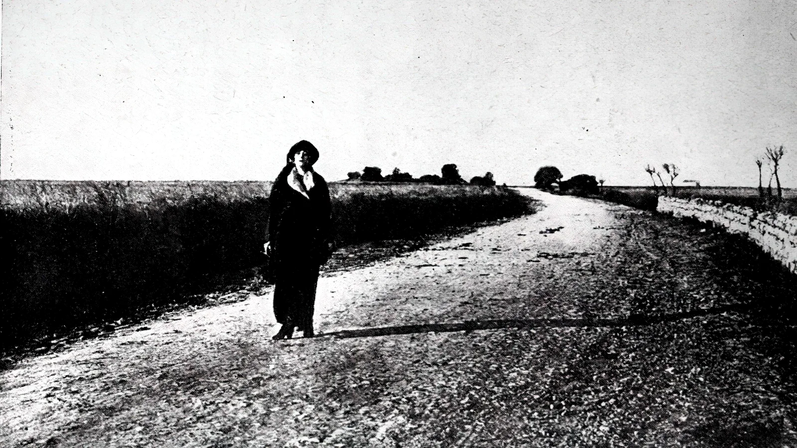 Photo du film : La Femme de nulle part