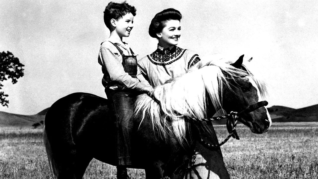 Photo 2 du film : Le poney rouge