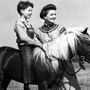 Photo du film : Le poney rouge
