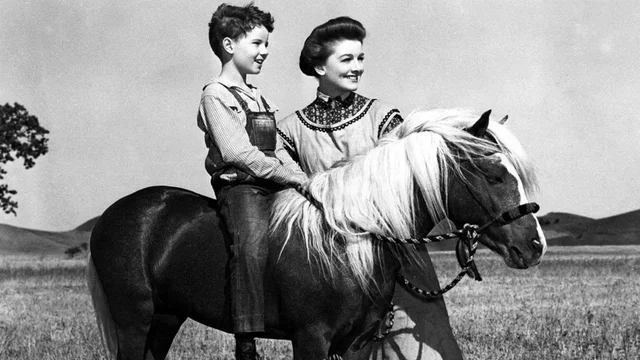 Photo 2 du film : Le poney rouge