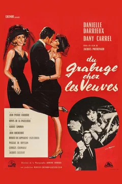 Affiche du film Du grabuge chez les veuves