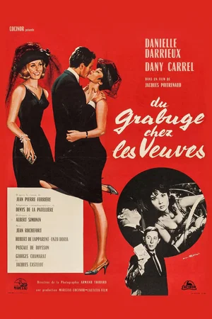Affiche du film : Du grabuge chez les veuves
