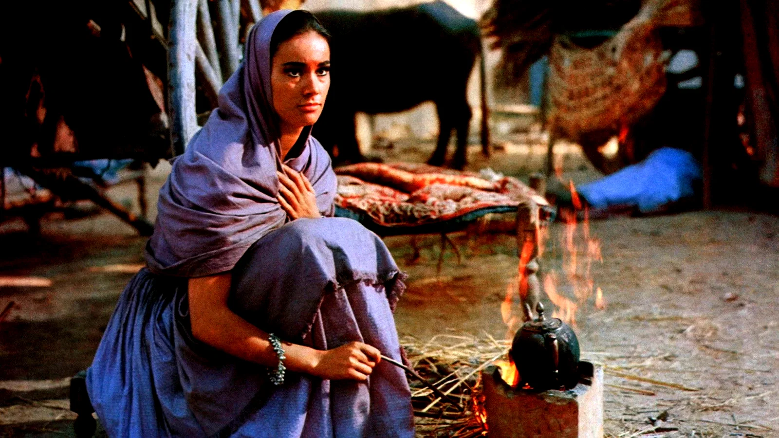 Photo 2 du film : Le mystere du temple hindou