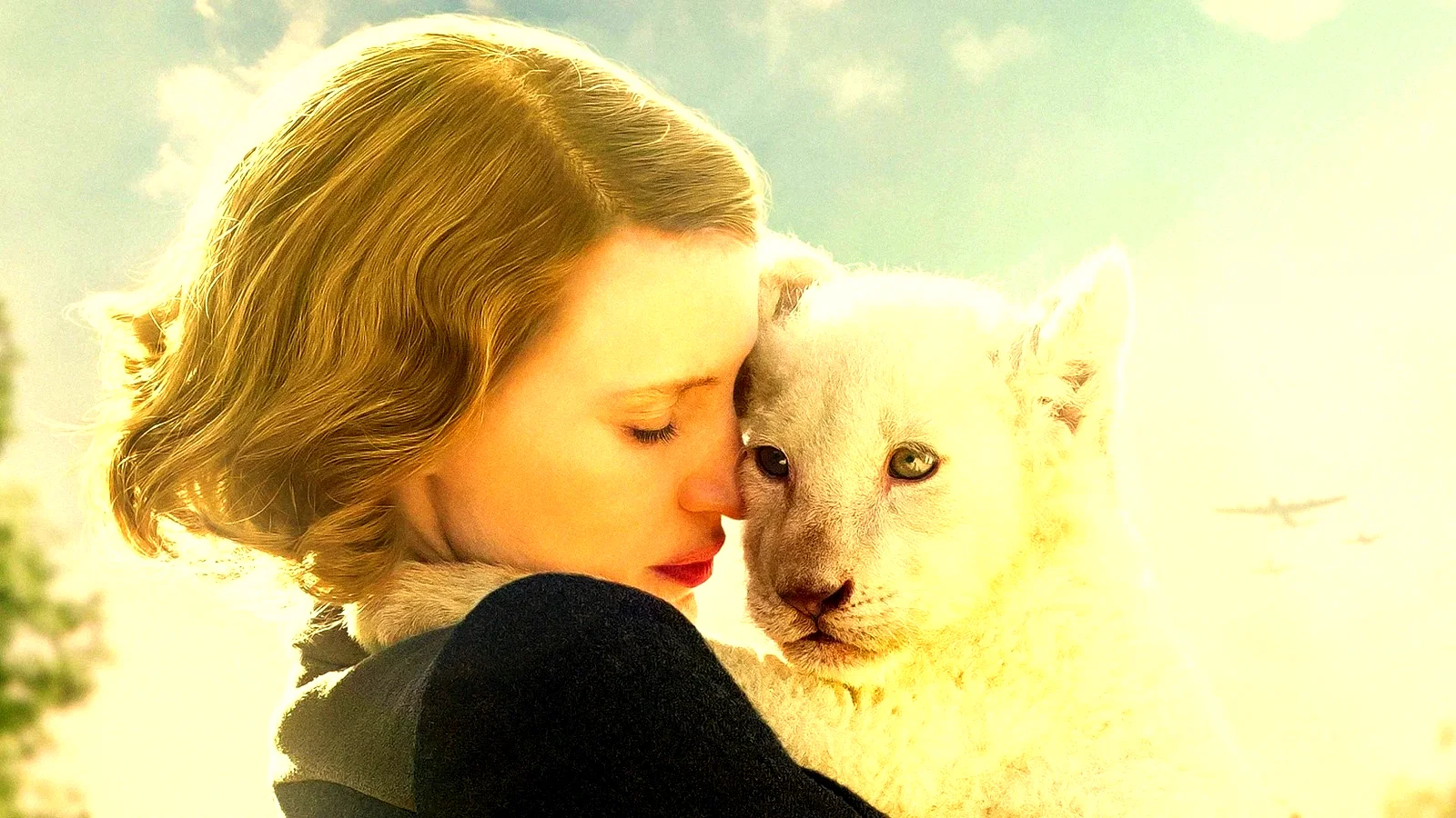 Photo du film : La Femme du gardien de zoo