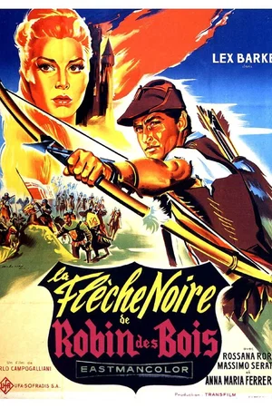 Affiche du film : La flèche noire de Robin des Bois