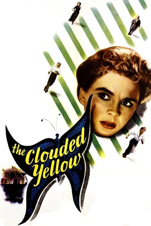 Affiche du film : La fille aux papillons
