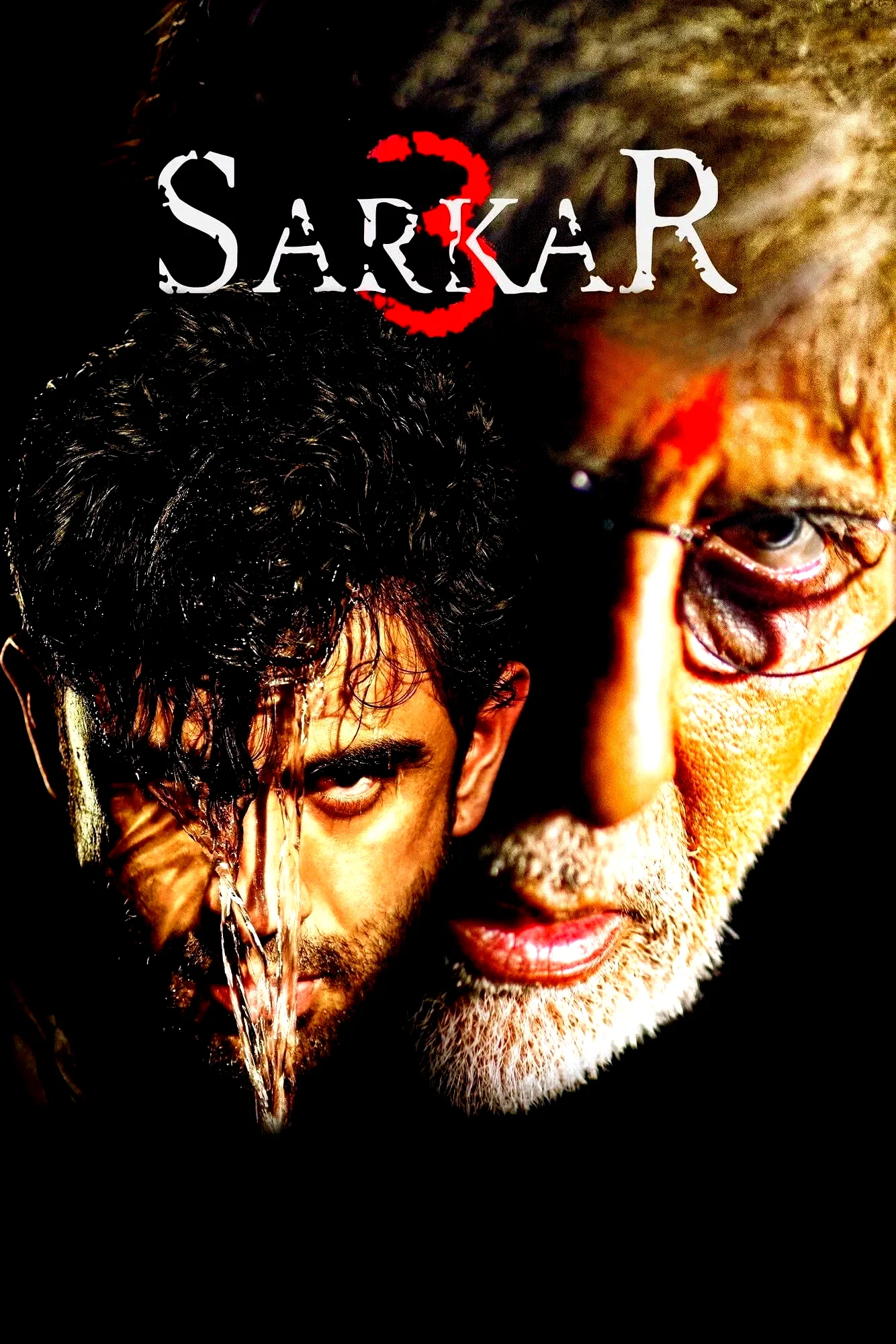 Affiche du film : Sarkar 3
