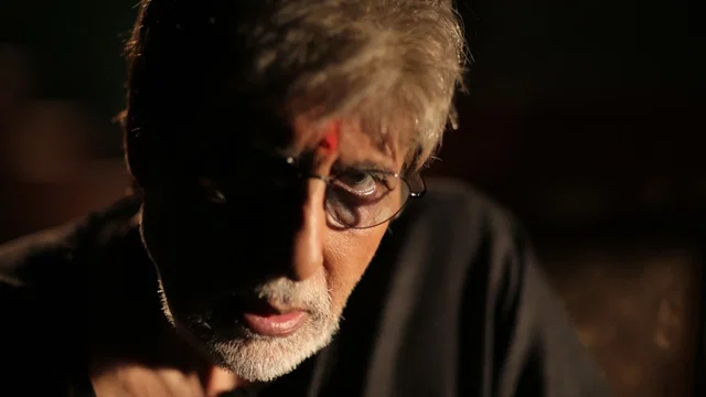 Photo du film : Sarkar 3