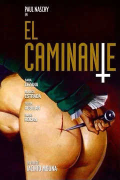 Affiche du film Le voyageur