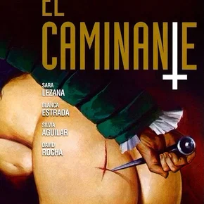 Photo du film : Le voyageur