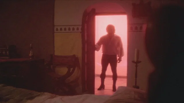 Photo 2 du film : Le voyageur