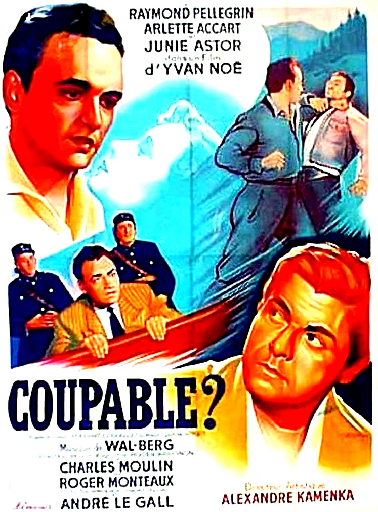 Affiche du film : Coupable