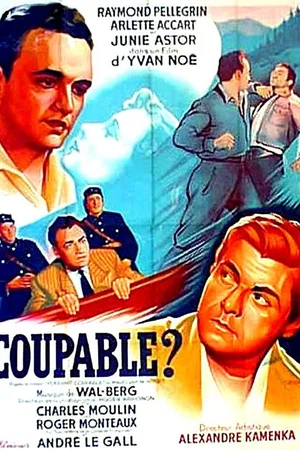 Affiche du film : Coupable