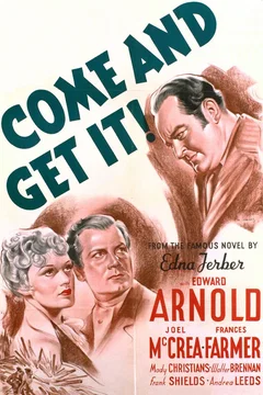 Affiche du film Le vandale