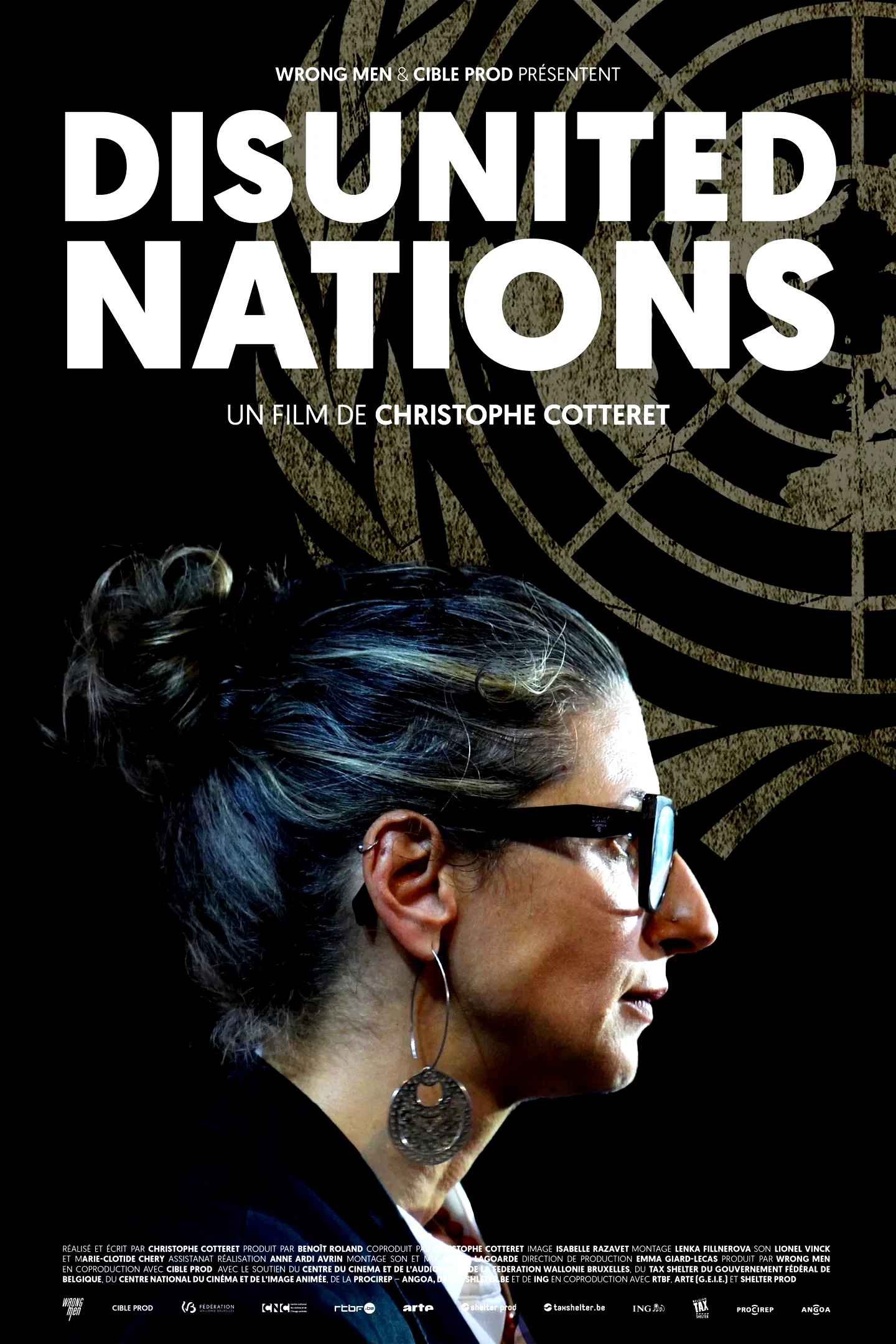 Affiche du film : Disunited Nations Proche-Orient : l’ONU dans la tourmente