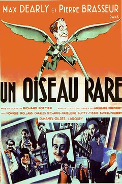 Affiche du film Un oiseau rare