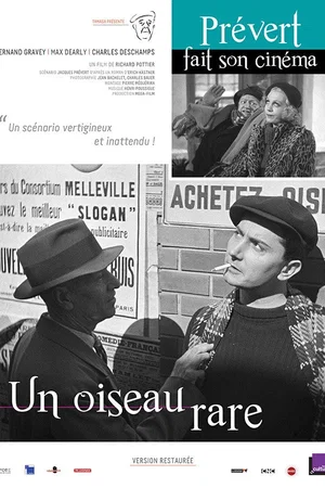 Photo 2 du film : Un oiseau rare
