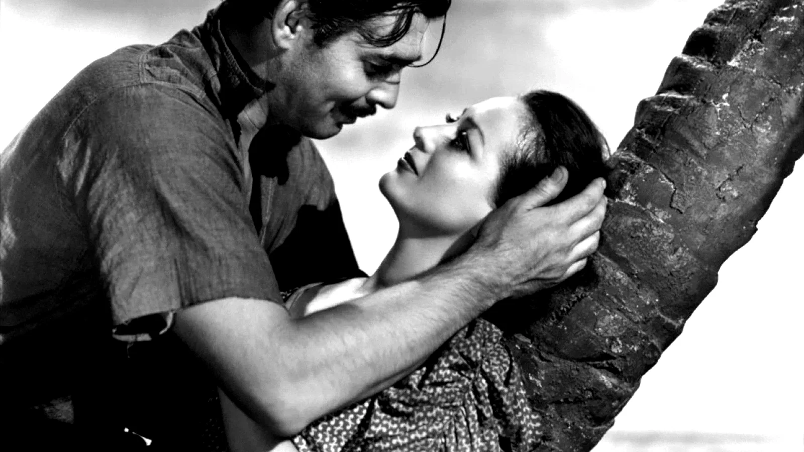 Photo 3 du film : Le cargo maudit