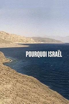 Affiche du film = Pourquoi israel