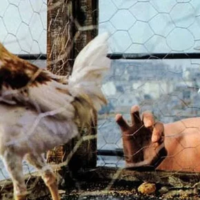 Photo du film : La Coqueluche