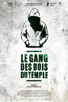 Affiche du film = Le gang des bois du temple