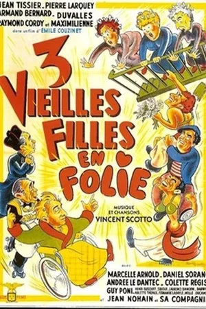 Affiche du film : Trois vieilles filles en folie