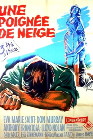 Affiche du film : Une poignee de neige
