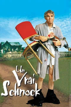 Affiche du film Un vrai schnock