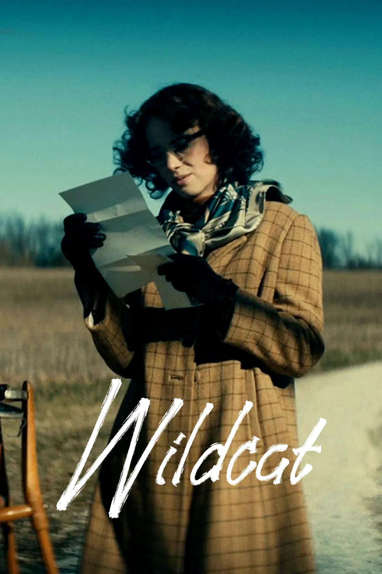 Photo du film : Wildcat