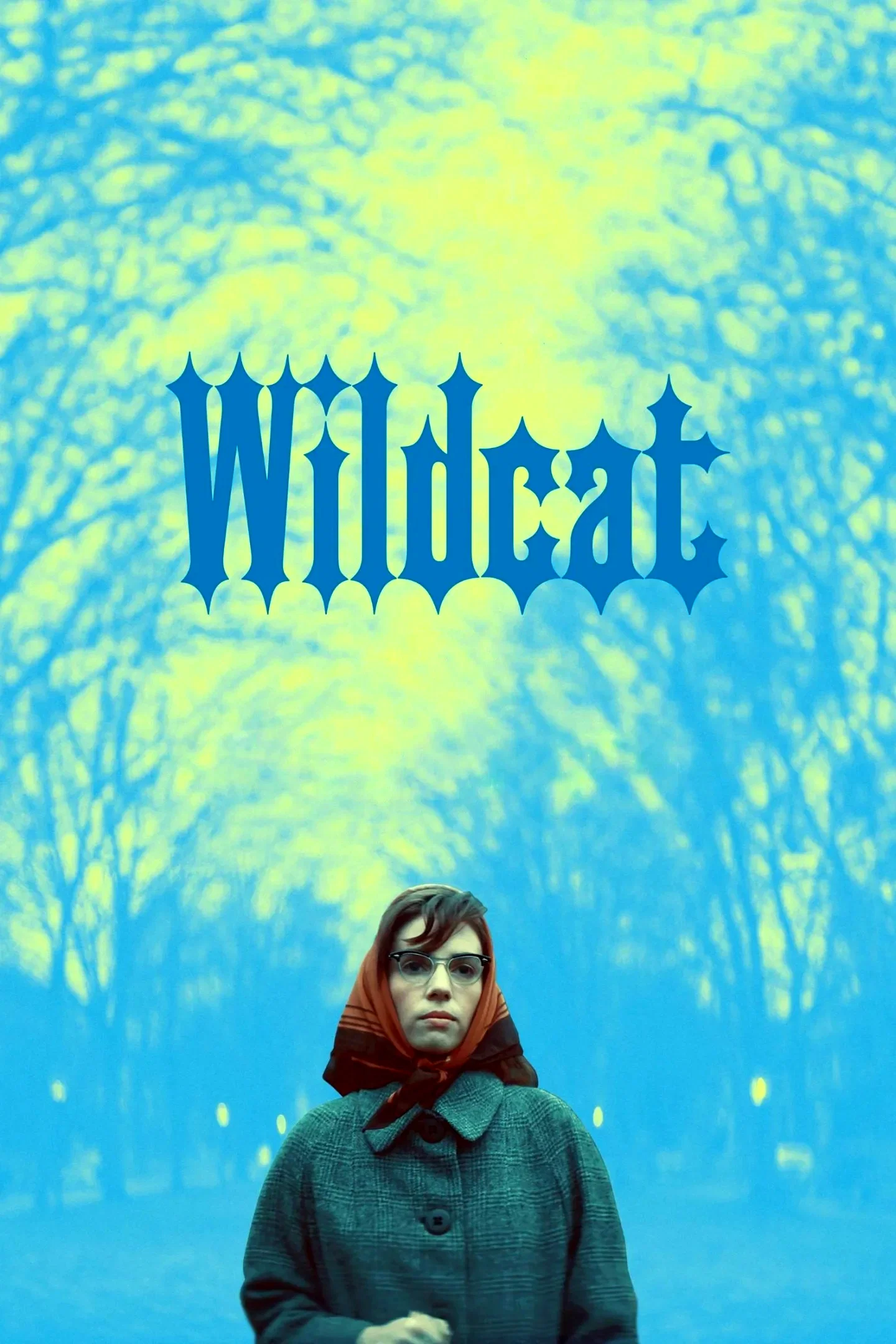 Photo du film : Wildcat