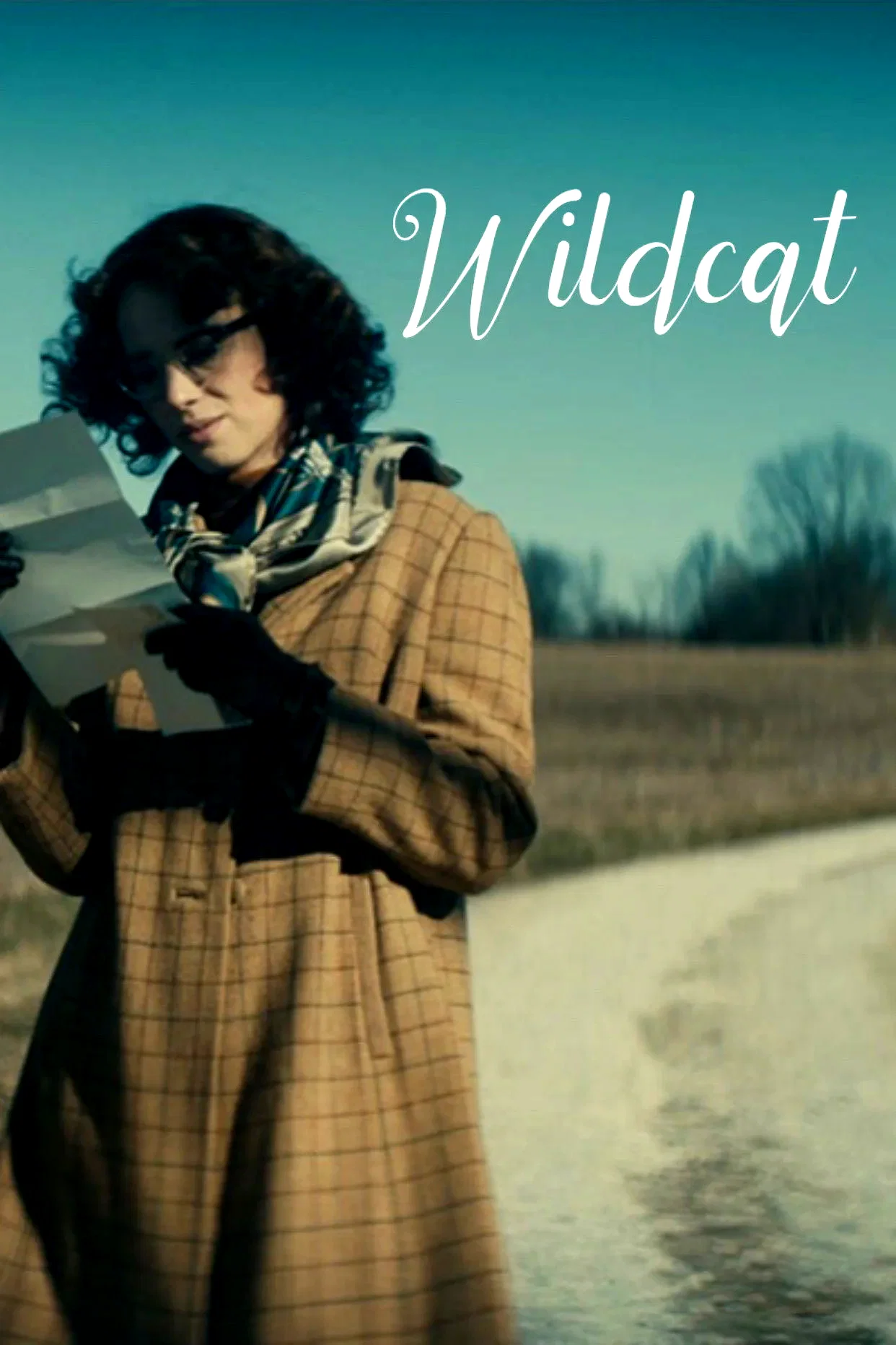 Photo du film : Wildcat