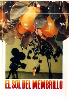 Affiche du film = Le songe de la lumiere