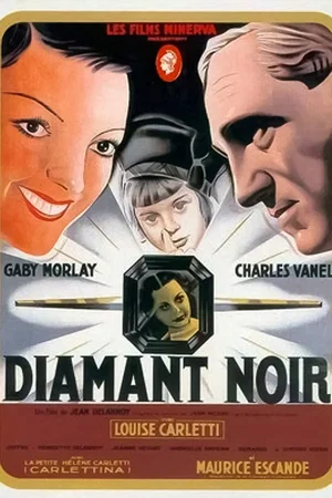 Affiche du film : Le Diamant noir