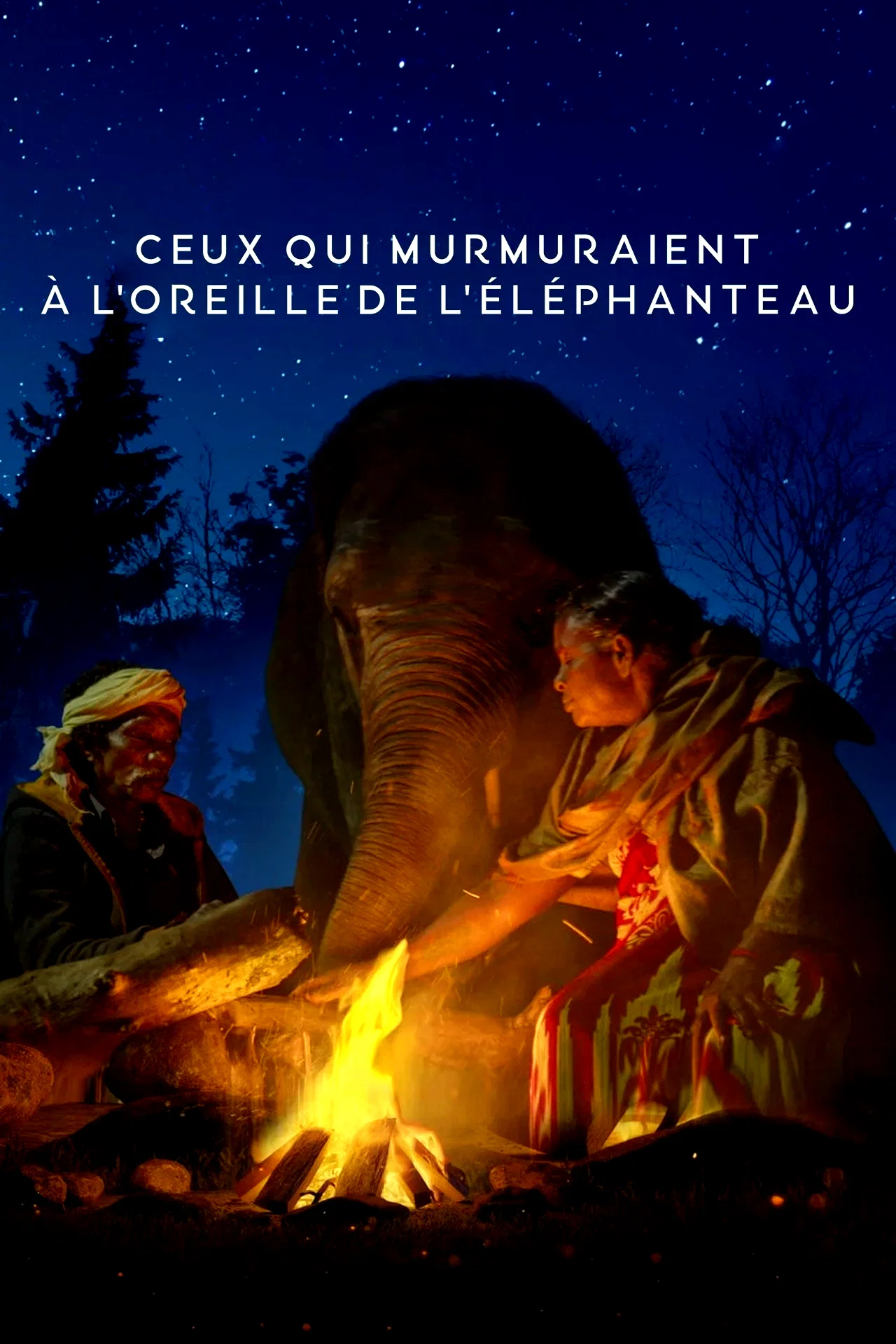 Photo 3 du film : Ceux qui murmuraient à l’oreille de l’éléphanteau