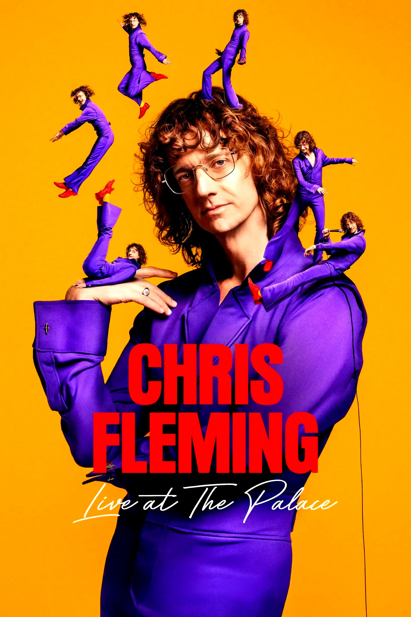 Affiche du film : Chris Fleming: Live at The Palace