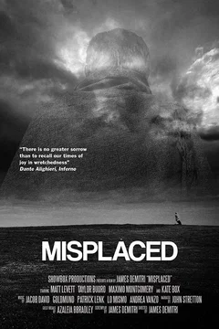 Affiche du film Misplaced
