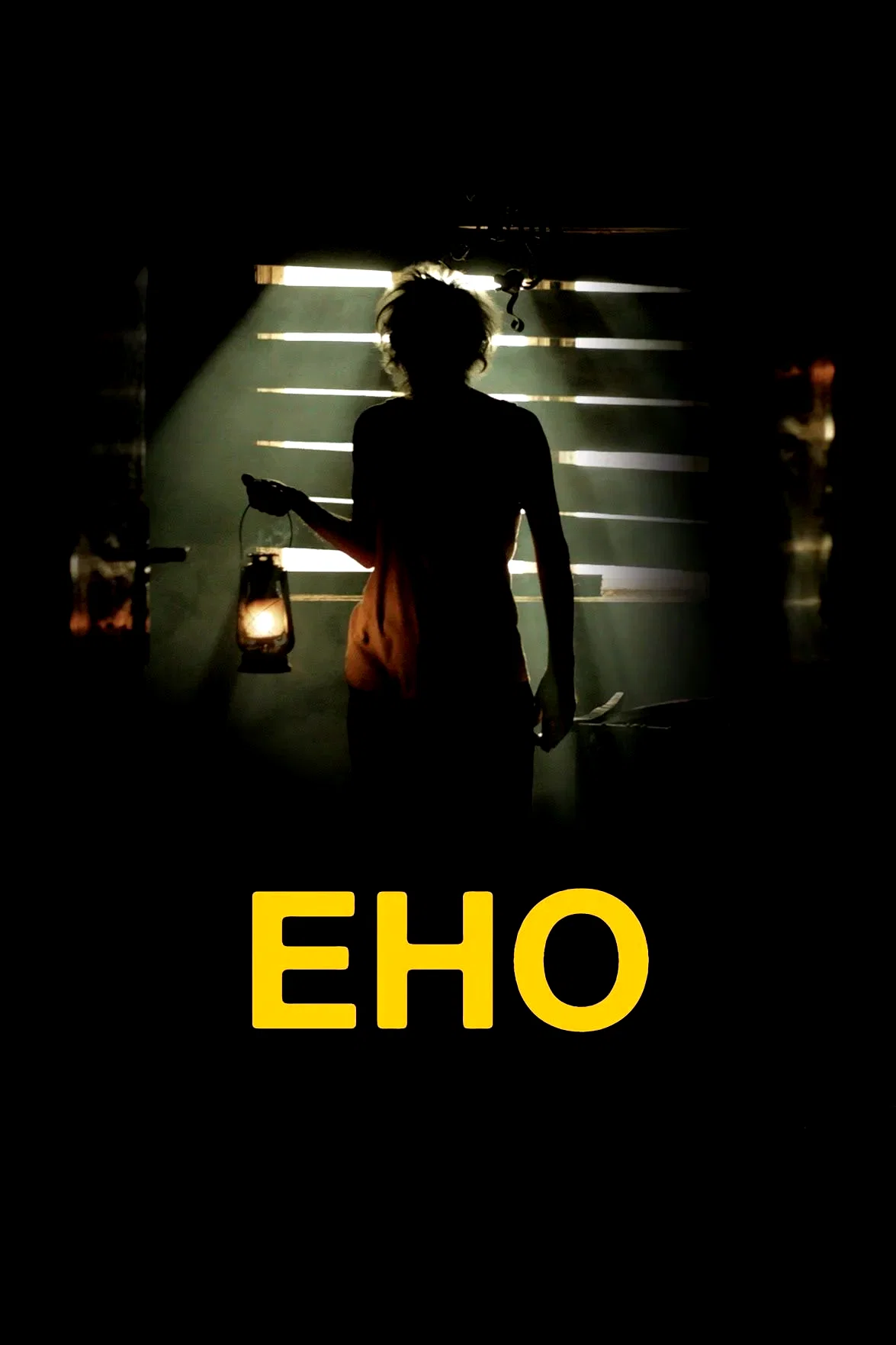 Affiche du film : Echo