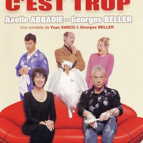 Photo du film : Trop c'est trop
