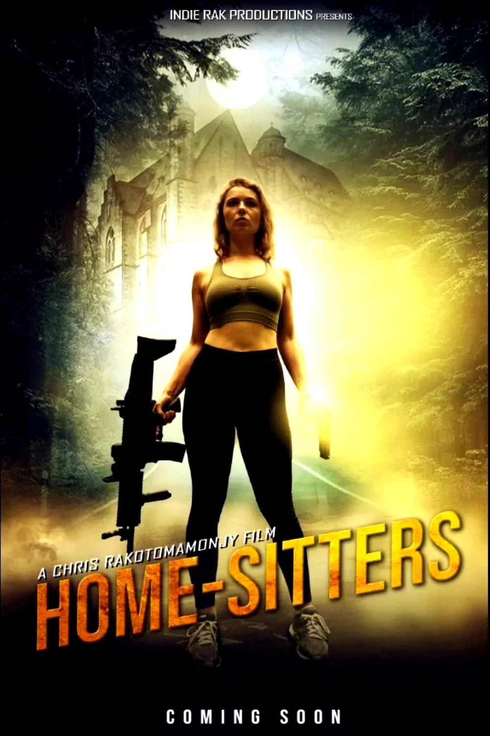 Affiche du film : Home-Sitters