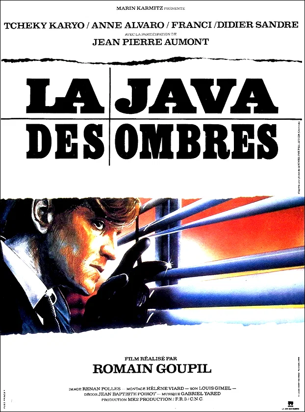 Affiche du film : La java des ombres